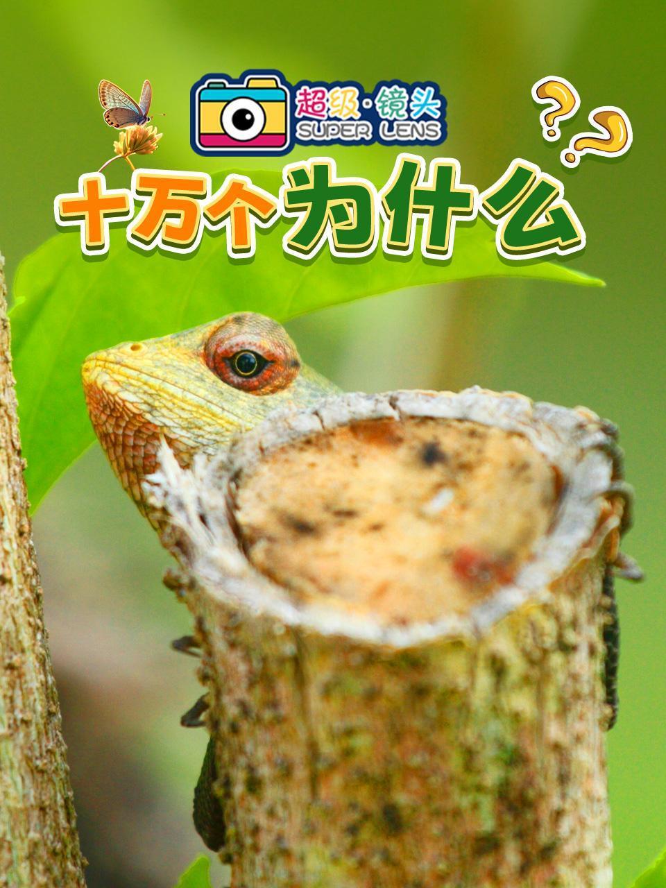 超级镜头:十万个为什么